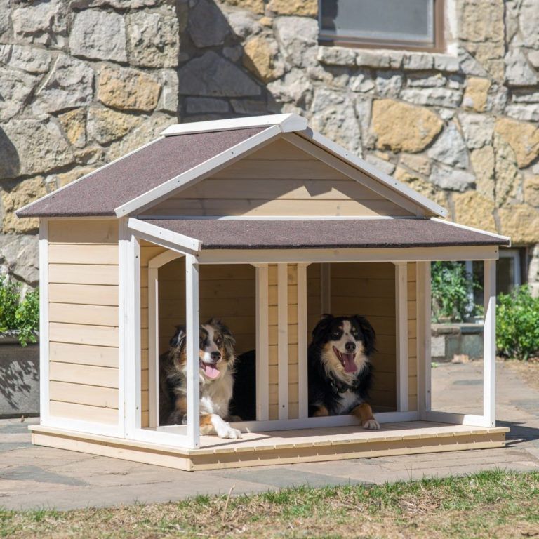 40 medinių namelių jūsų šuniui modelių suteikia dar daugiau komforto