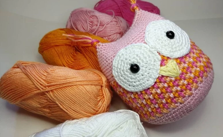 Crochet उल्लू: प्यार में पड़ने के लिए 80 मॉडल और इसे कैसे करें