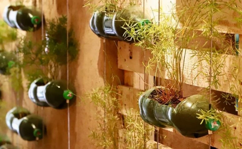 PET palack váza: 65 ötlet és lépésről lépésre útmutató a fenntartható dekorációhoz