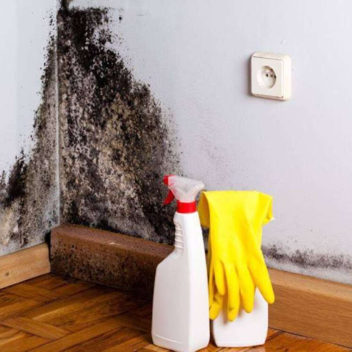 벽에서 곰팡이를 제거하는 방법: 간단한 청소에서 개조까지