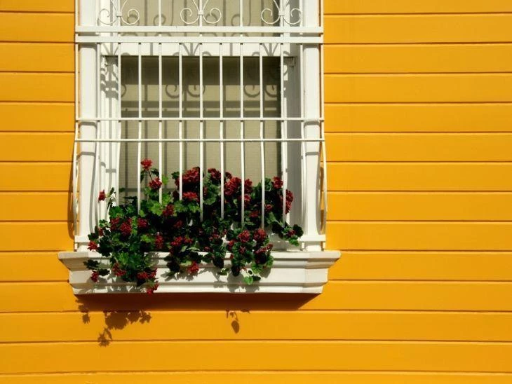 विंडो ग्रिल: घरांच्या दर्शनी भागासाठी सुरक्षा आणि सौंदर्य