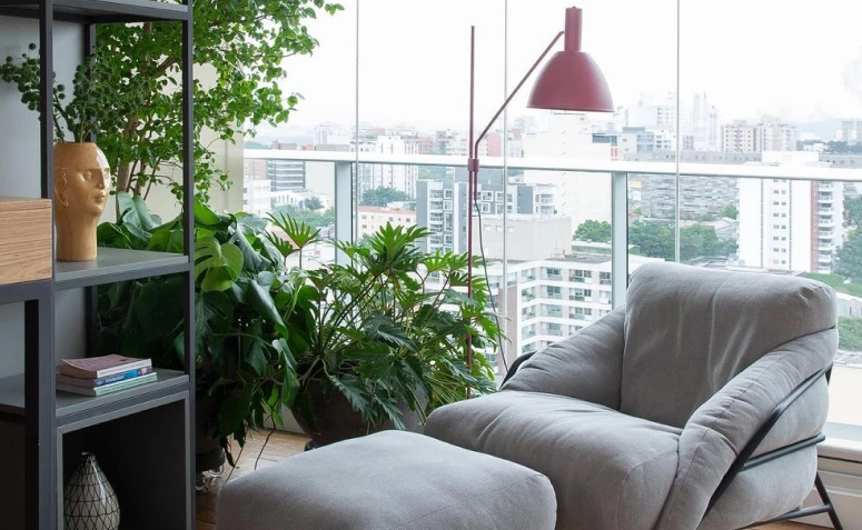 60 balcony plants to have your own urban jungle