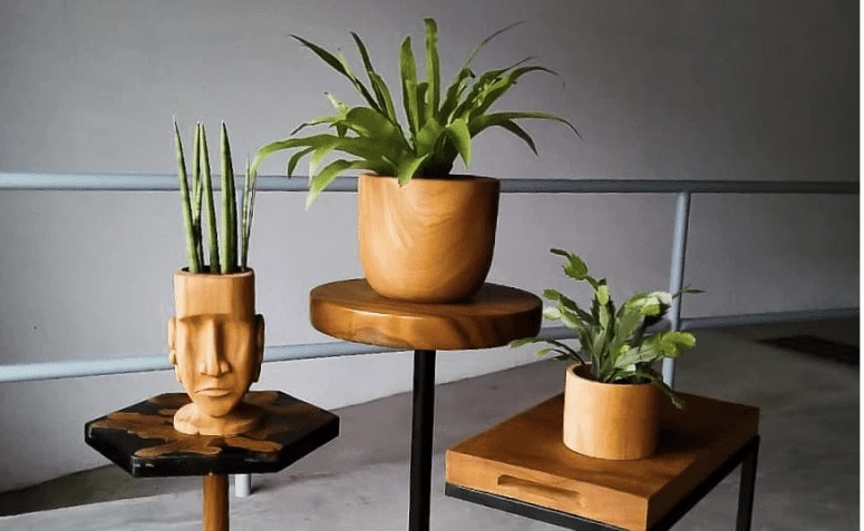30 medinių vazonų modelių, skirtų augalams pabrėžti