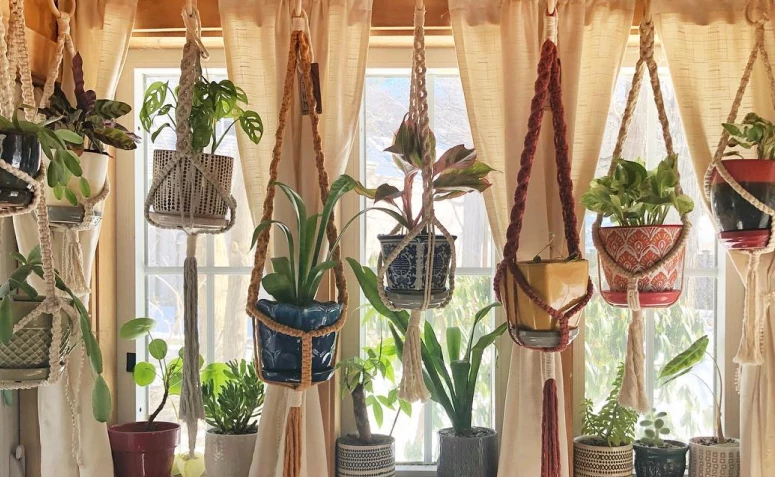 50 ideja visećih vaza koje su čar