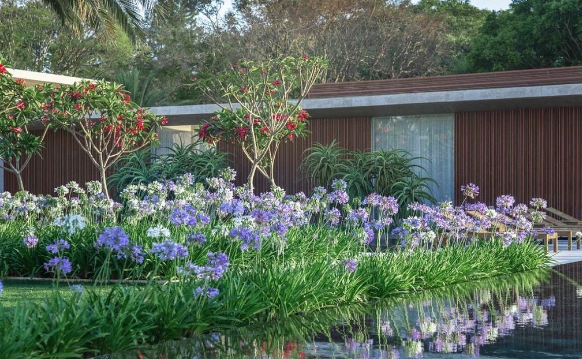 Այգու ծաղիկներ. Ձեր տունը գեղեցկացնելու 100 ամենատարածված տեսակները
