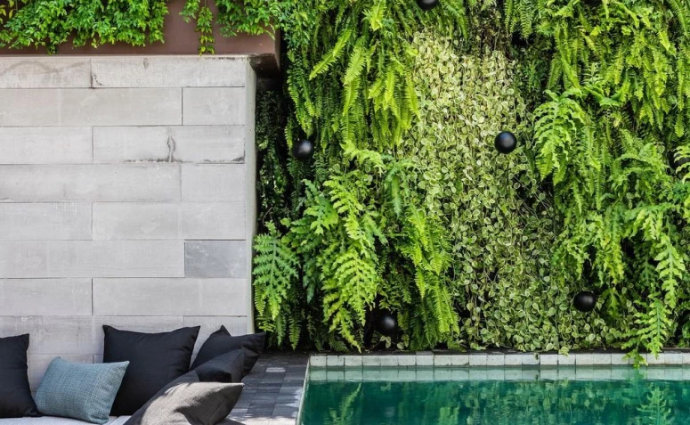 20 planter til lodrette haver, der vil gøre din væg grøn