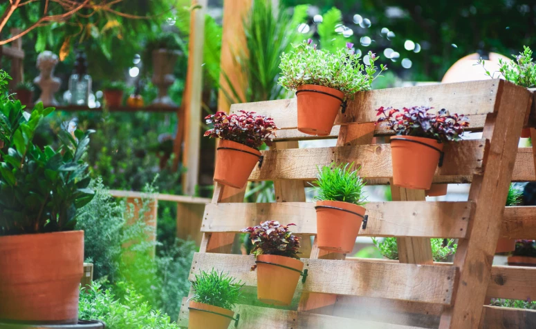 70 idej za vertikalni vrt iz palet za okrasitev s proračunom