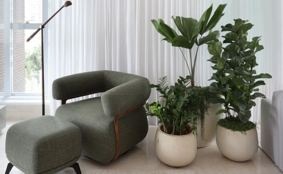 Декоративни растенија за да го направат вашиот дом уште пошармантен