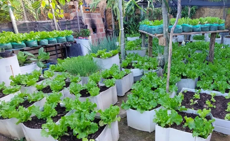 20 nápadov na domácu zeleninovú záhradu pre ekologické pestovanie