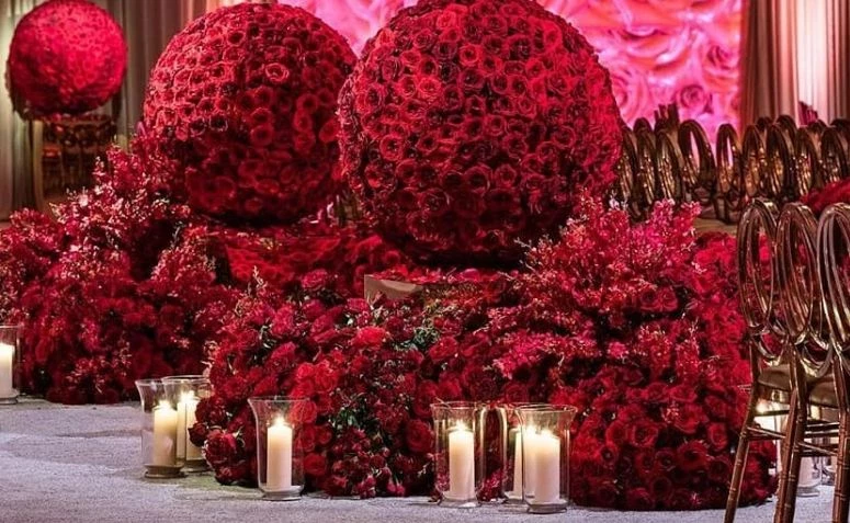 Bunga merah: jenis, makna, dan 60 pilihan dekorasi