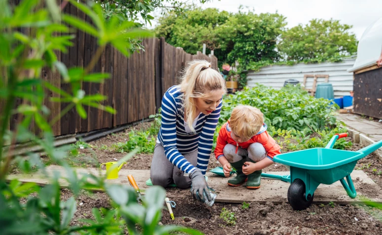तुमच्या भाज्या नेहमी हातात ठेवण्यासाठी घरामागील अंगणात 60 बाग कल्पना